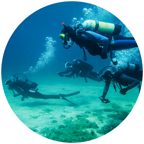 Scuba Diving Club on a scuba diving trip together