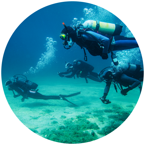 scuba divers enjoying underwater trip together arranged by scuba club tucson