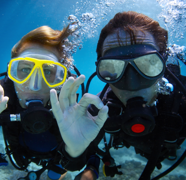 happy scuba divers under the water at the scuba travel arranged by the scuba club tucson