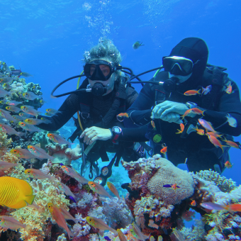 two scuba divers under coral reef enjoying a trip arranged by the scuba club tucson