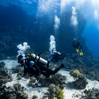 two scuba divers enjoying underwater trip arranged by the scuba club tucson