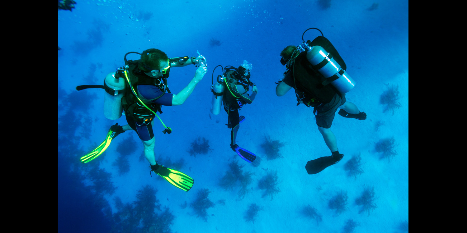 Scuba Diving Instructor Teaching Other Divers