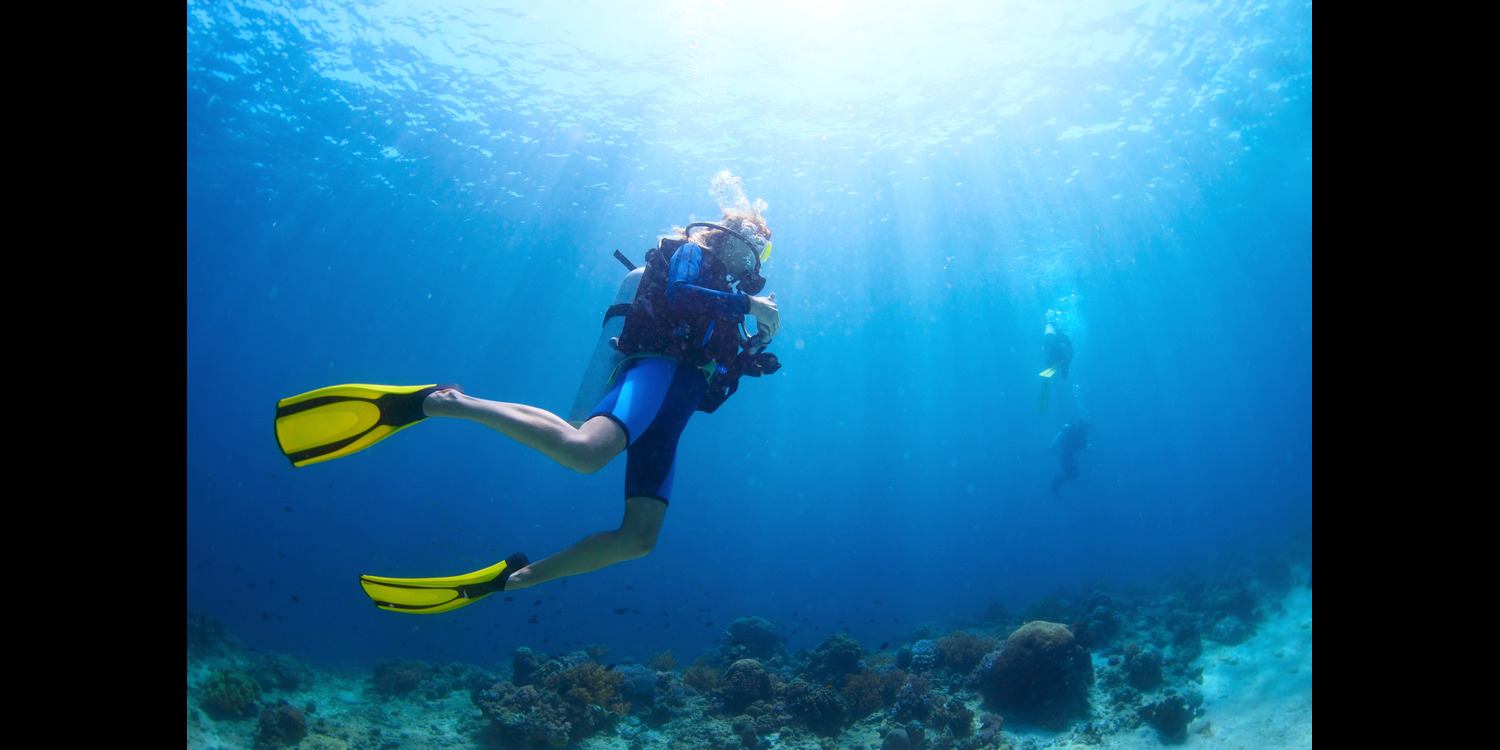 a diver having a safe scuba diving experience