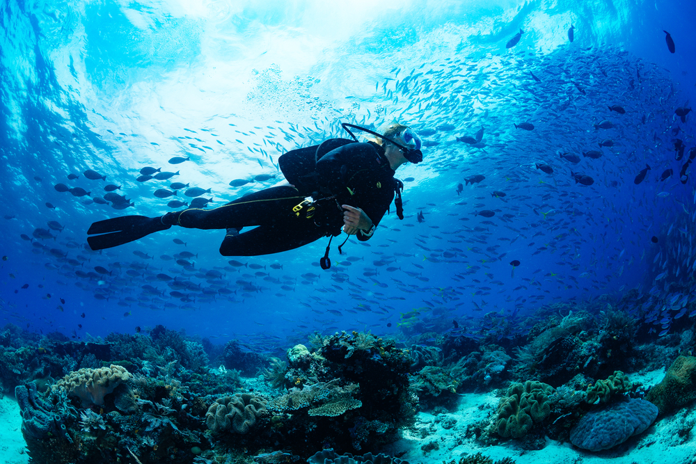 scuba diver underwater with fish