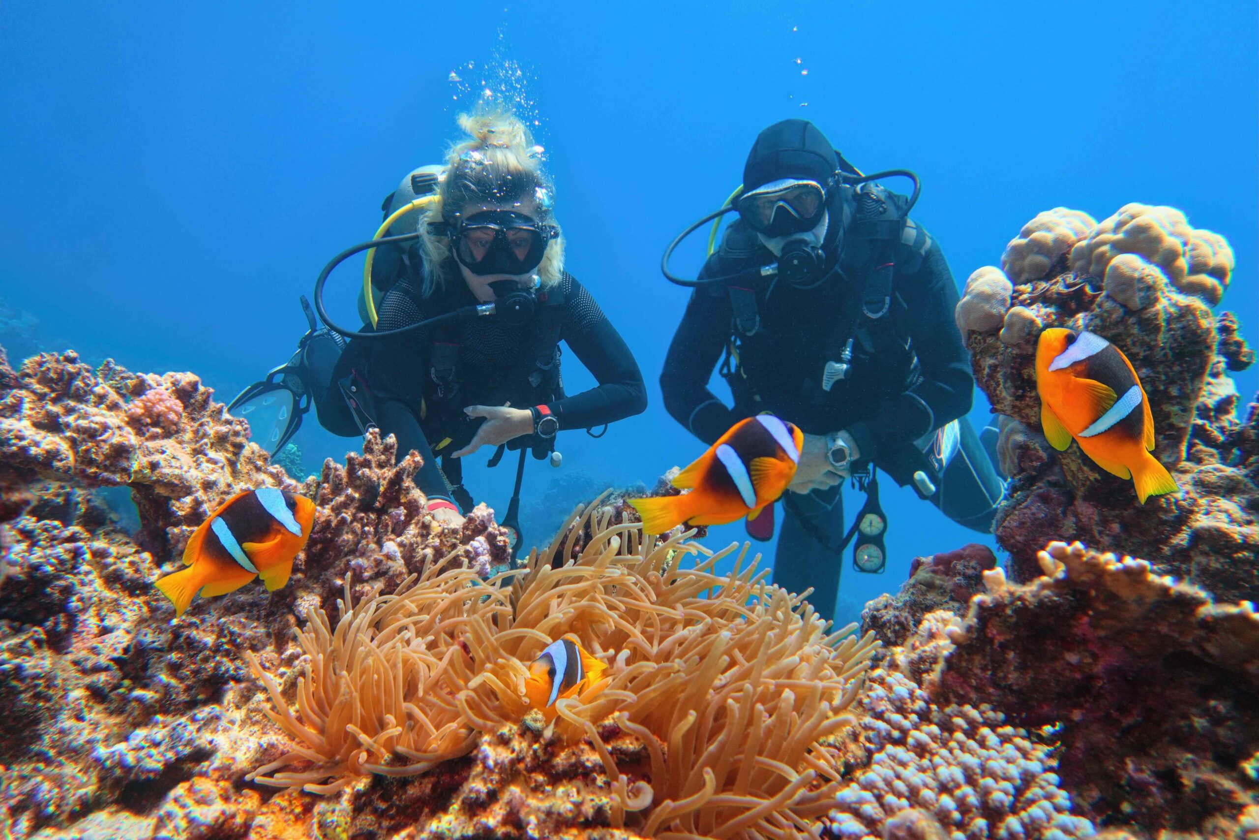 two divers on an eco friendly dive arranged by scuba club tucson