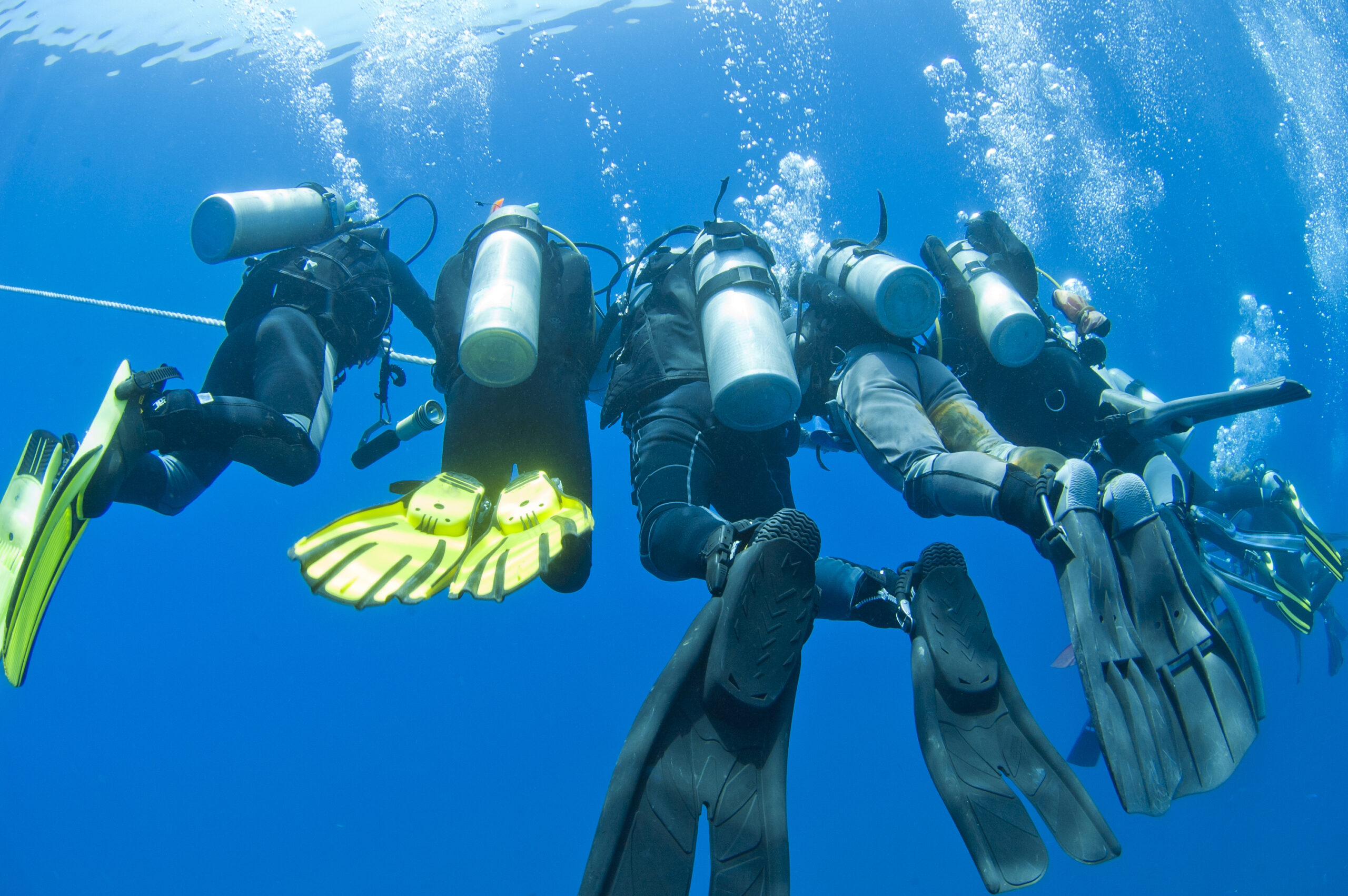 divers doing a safety stop in diving on a trip arranged by the scuba club tucson