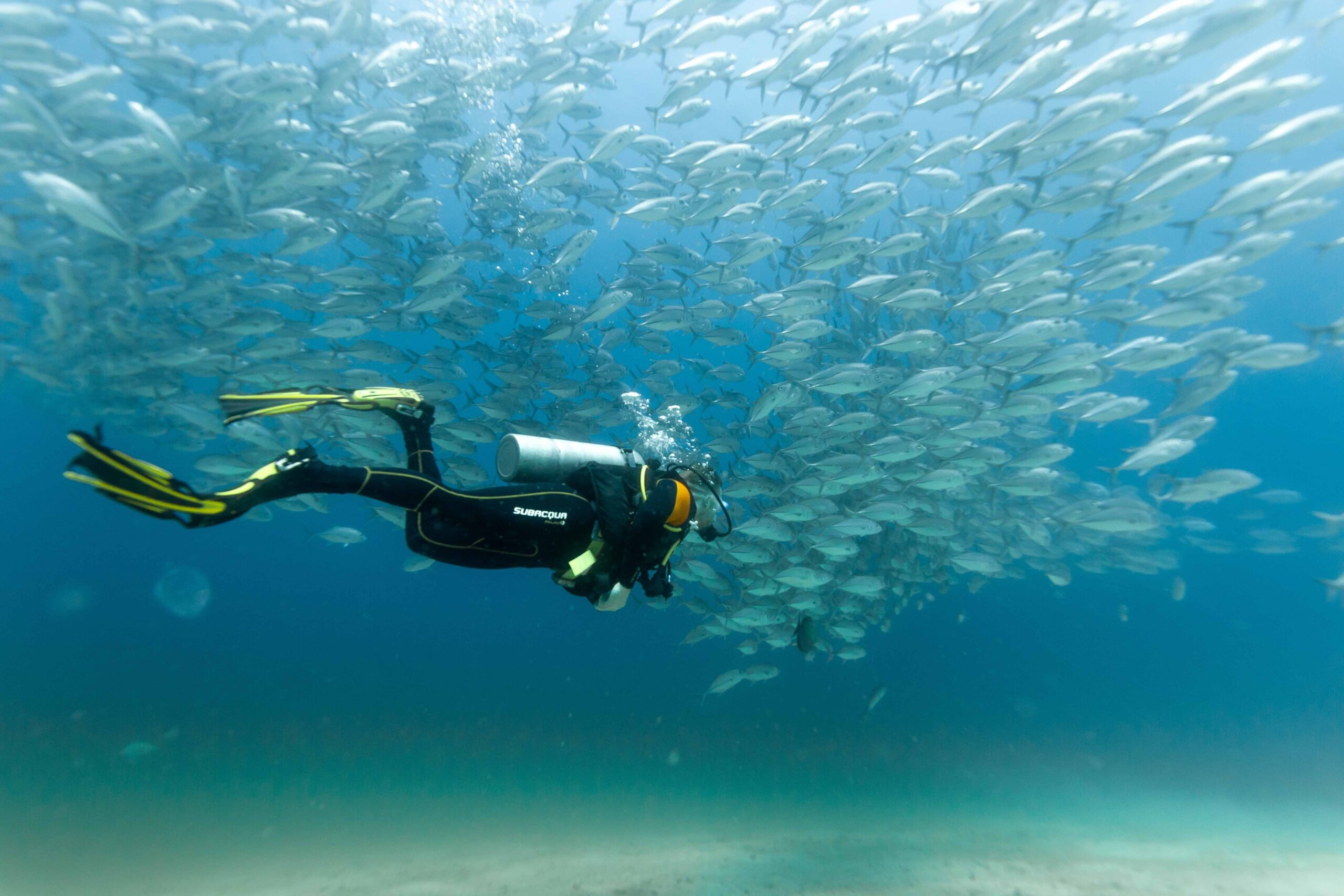 Navigating the Depths: The Importance of Advanced Dive Planning